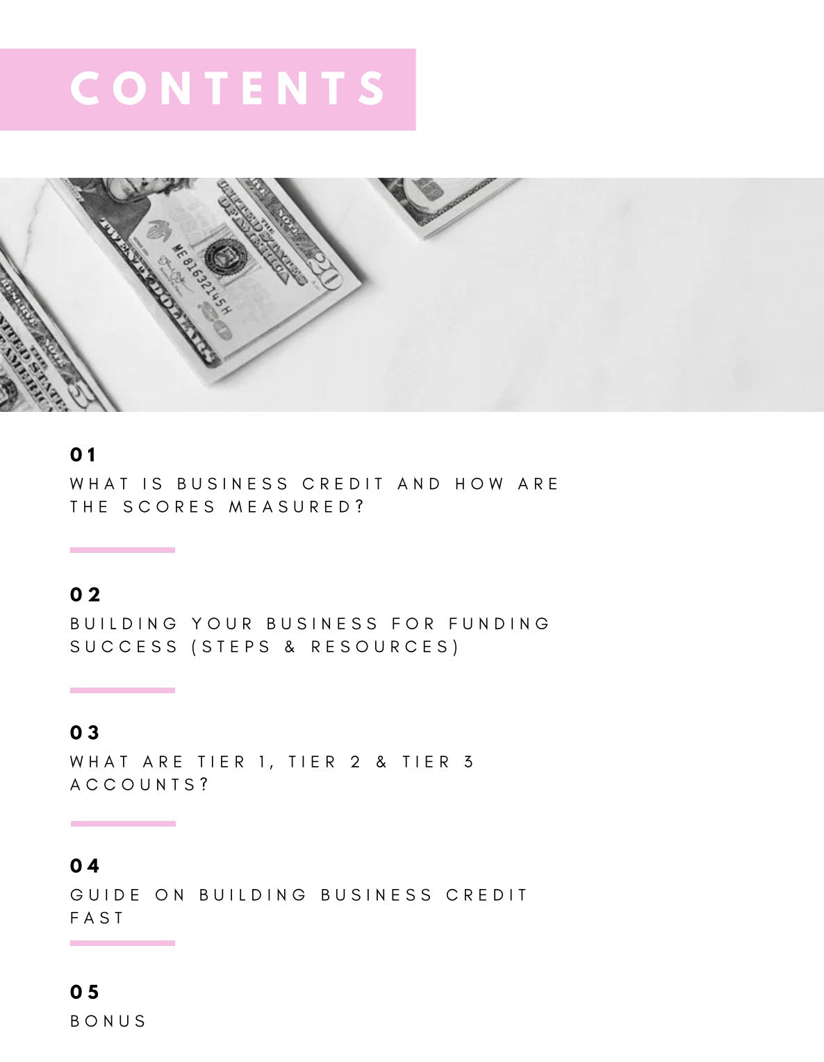 DFY “The Guide To Building Business Credit” Resellable E-Book