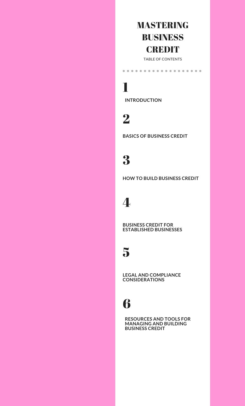 DFY “Mastering Business Credit” Resellable E-Book
