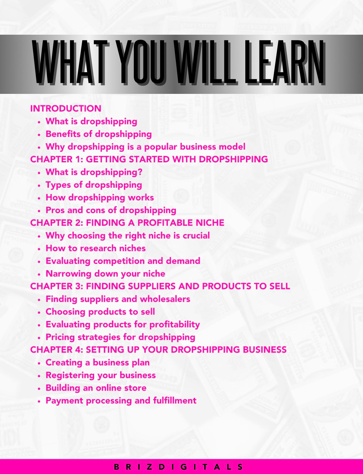 DFY “Dropshipping Made Easy Bundle” Resellable E-Book
