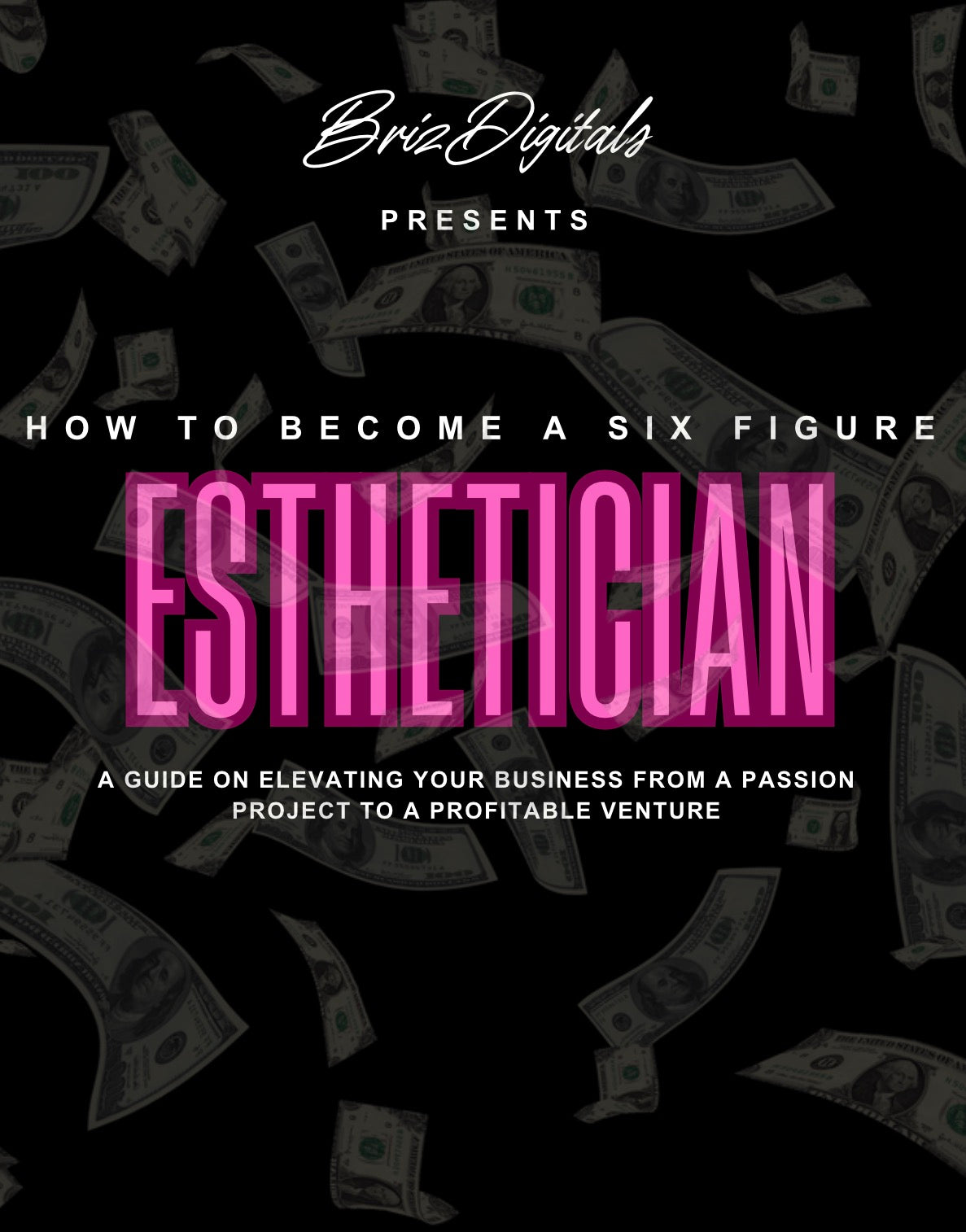 DFY “How To Become A 6 Figure Esthetician” Resellable E-Book